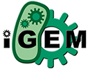 iGem 130x100